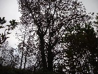 nte Fontane-201011107 029